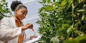 Sequencial em gestão ambiental